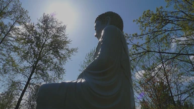 "Do cái này có nên cái kia có; cái này khởi nên cái kia khởi"