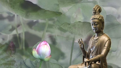  "Tâm từ bi kết hợp với trí tuệ là nền tảng của sự chữa lành cảm xúc"