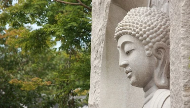 "Một là khéo biết bệnh; hai là khéo biết căn nguyên của bệnh; ba là khéo biết cách chữa trị bệnh; bốn là khéo biết trị lành bệnh để về sau bệnh không còn tái phát nữa"