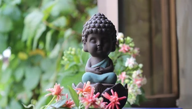 Ảnh: Như Danh/BGN