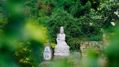 Cực lạc mỉm cười
