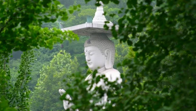 Một trong những nguyên nhân chính của đau khổ là sự tham muốn