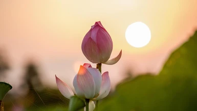 Thân miệng không tương ưng