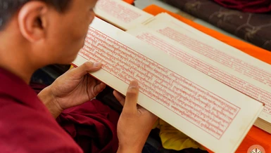 Kinh Pháp hoa giữ một vị trí quan trọng trong lịch sử và văn hóa Phật giáo Tây Tạng. Được dịch chính thức vào thời kỳ Tây tạng đế quốc, kinh Pháp hoa đã được sao chép và tôn kính như một phần của tạng Kanjur, tạng kinh bằng Tạng ngữ