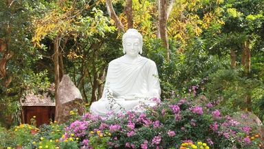 Chánh niệm có thể giúp chúng ta hiện diện trọn vẹn trong một thế giới đầy phân tâm và cảm thấy thoải mái hơn trong cơ thể và cuộc sống của mình - Ảnh: Lê Ngọc