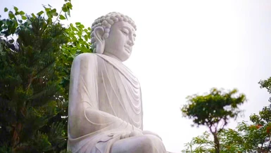 "Để sự tu tập của con được đúng, để con biết điều đúng, sai, thì tất cả phải quay về thân và tâm. Thân và tâm là thứ dẫn ta đến lạc hay khổ. Chúng nối kết với nhau như những mắt xích của một sợi dây" - Ảnh: GĐPT Phước Thiện