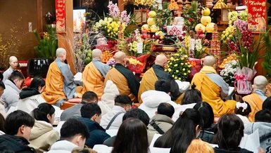 Hàng nghìn du học sinh, sinh viên và Phật tử Việt Nam đang sinh sống tại Nhật Bản trở về chùa Đại Ân đón Tết - Ảnh: Ch.Đại Ân