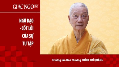 [TRỰC TUYẾN] Trưởng lão Hòa thượng Thích Trí Quảng thuyết giảng: "Ngộ đạo - cốt lõi của sự tu tập" 