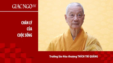 [TRỰC TUYẾN] Trưởng lão Hoà thượng Thích Trí Quảng thuyết giảng ngày 26-3