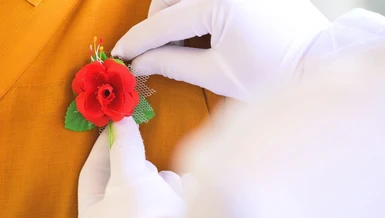 Vu lan về người có vội không?