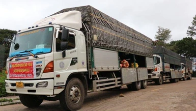 Những chuyến xe chở nông sản hỗ trợ từ Đà Lạt về các tỉnh Đồng Nai, Bình Dương và Ninh Thuận