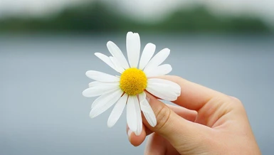 Buông xả không phải là vô cảm, lãnh đạm hay hờ hững đối với mọi thứ xung quanh, mà nó đơn giản chỉ là sự không thiên vị...