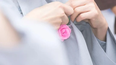 Đóa hồng phai sắc thắm