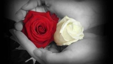 Bến bờ yêu thương