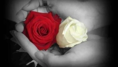 Bến bờ yêu thương