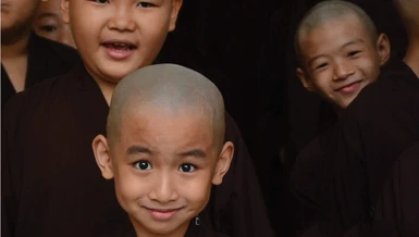 Thương mái chùa, thương màu áo nâu 
