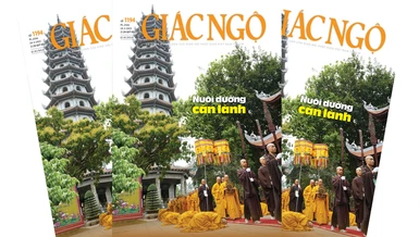 Báo Giác Ngộ số 1194: "Nuôi dưỡng căn lành"