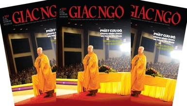 Báo Giác Ngộ số 1231: Năm uẩn đều không, vậy cái gì tái sinh? 