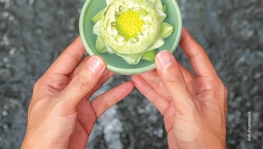 Gốc rễ của thiện và bất thiện 