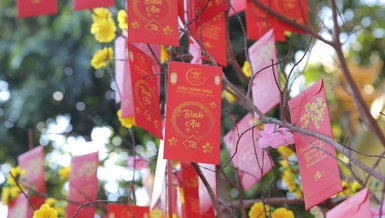 Đầu năm về chùa Chánh Thiên lễ Phật, hái lộc xuân