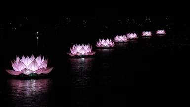 7 đóa hoa sen mừng Phật đản đã được thắp sáng trên dòng Hương giang vào tối nay, mùng 8-4 ÂL