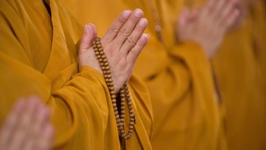 Ảnh: Quảng Đạo/BGN