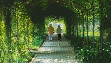 Nơi bình yên tuổi xế chiều, hay nơi để tuổi trẻ mở trải cả tâm và trí đều gắn với thiên nhiên - Ảnh: L.Đ.L