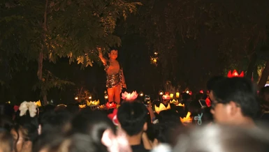 Đêm hoa đăng kính mừng Phật đản tại chùa Pháp Hoa (Q.3, TP.HCM)