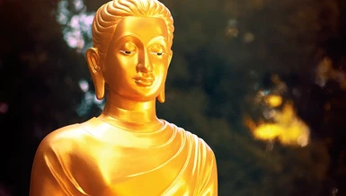 Đạo Phật là con đường chuyển hóa nhân tính từ xấu thành tốt, từ ác sang thiện, cũng đồng nghĩa là đường hướng xây dựng đạo đức và hạnh phúc cho tự thân và cho cuộc đời - cơ bản là sự chuyển hóa hay tịnh hóa ba nghiệp thân, khẩu, ý