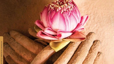 Báo Giác Ngộ 1328: Từ bi với một người là cứu rỗi thế giới