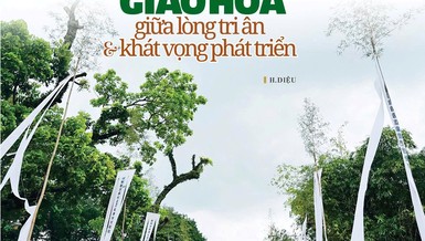 Bài trên Báo Giác Ngộ số 1329 - Thiết kế: Phòng Mỹ thuật BGN/Tống Viết Diễn