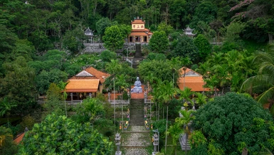Chùa Linh Sơn Long Đoàn nép mình giữa rừng xanh Tà Cú, mang đến không gian tĩnh lặng và trầm mặc hiếm có