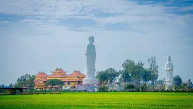 Khuôn viên chùa Phù Sơn được bao quanh bởi các đồng lúa, tạo nên sự bình yên 