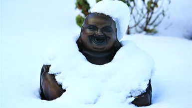 Tuyết tan xuân về