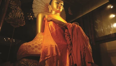 Trầm nhũ chiên đàn