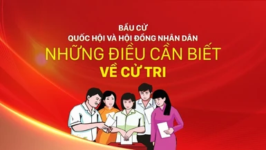 Những điều cần biết về cử tri