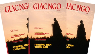 Số liệu thống kê Tăng Ni: Từ báo cáo đến thực tế và số biến động