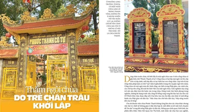 Thăm ngôi chùa do trẻ chăn trâu khởi lập