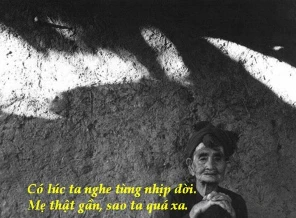 Lặng lẽ mẹ tôi