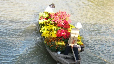Đường đầy hoa, sông ngập hoa