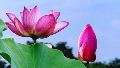 Ước vọng trẻ dâng lên Đại hội