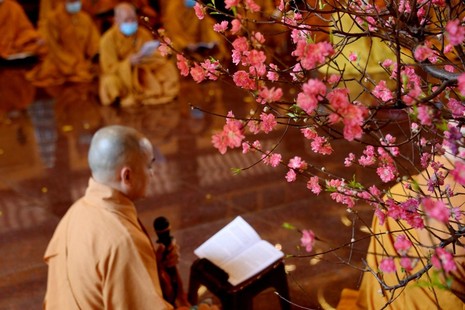 Ảnh: Bảo Toàn