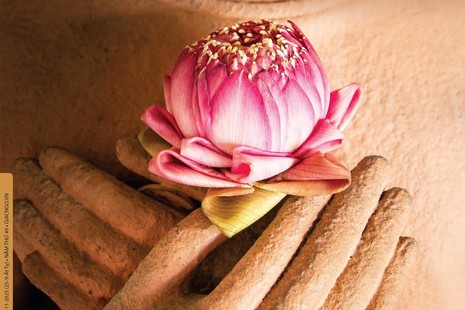 Báo Giác Ngộ 1328: Từ bi với một người là cứu rỗi thế giới