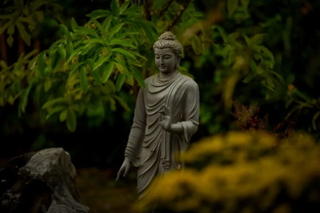 Thiền và chánh niệm có những mặt tối mà chúng ta ít khi nhắc đến