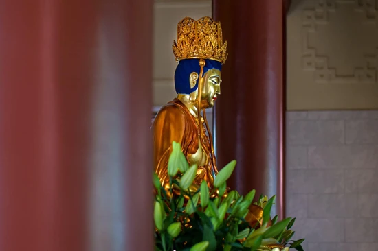 Ảnh chỉ có tính minh họa