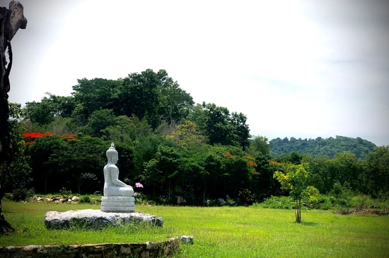 Ảnh: Làng Mai