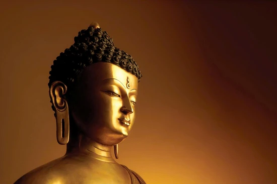 Mấy ngàn năm giáo pháp của Đức Phật vẫn ngày một tăng huy và lan tỏa khắp toàn cầu, giáo pháp ấy vẫn rạng ngời chân lý dù cho biến thiên của thời cuộc, dù cho khoa học phát triển đến đâu thì giáo pháp của Phật vẫn là chân lý không cần điều chỉnh