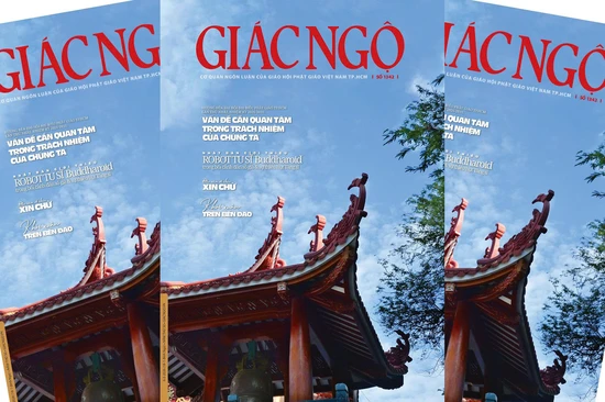 Hướng đến Đại hội đại biểu Phật giáo TP.HCM lần thứ nhất: Vấn đề cần quan tâm trong trách nhiệm của chúng ta