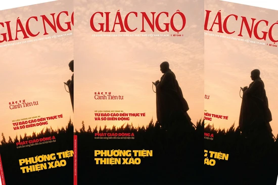 Số liệu thống kê Tăng Ni: Từ báo cáo đến thực tế và số biến động