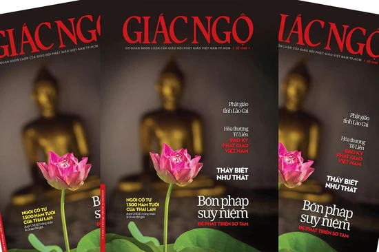 Tỉnh Lào Cai - đơn vị cuối cùng khu vực phía Bắc tổ chức Đại hội đại biểu Phật giáo nhiệm kỳ 2026-2031